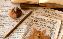 apreciacion literaria